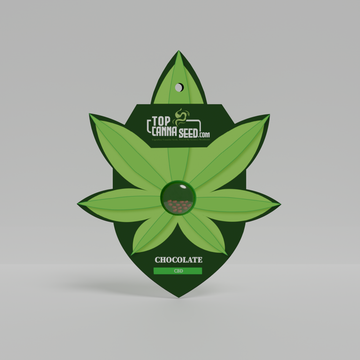 CBD Chocolate