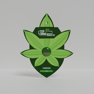 CBD Cheese