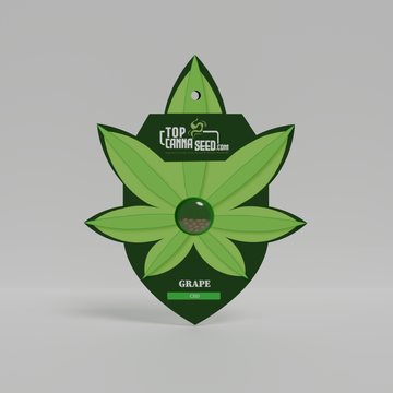 CBD Grape