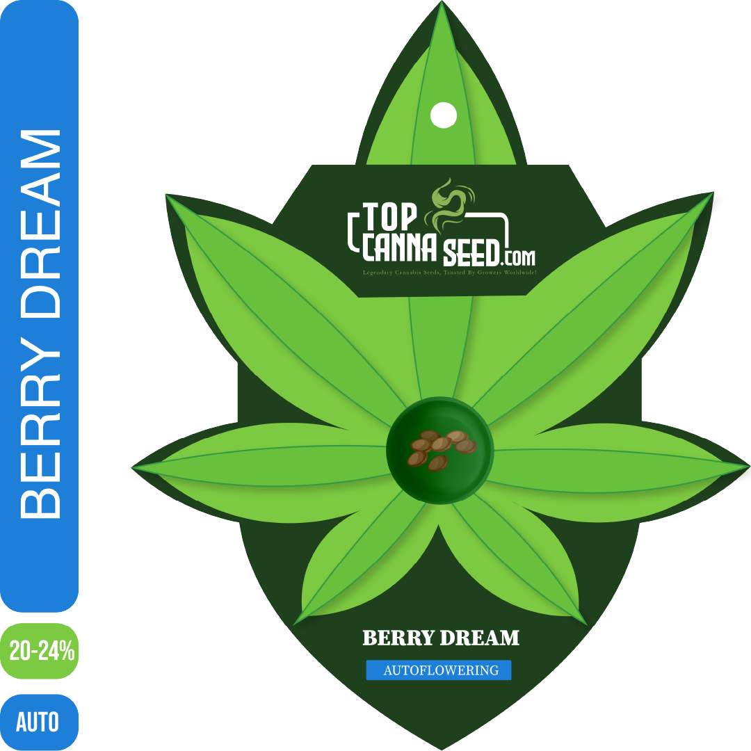Berry Dream Auto