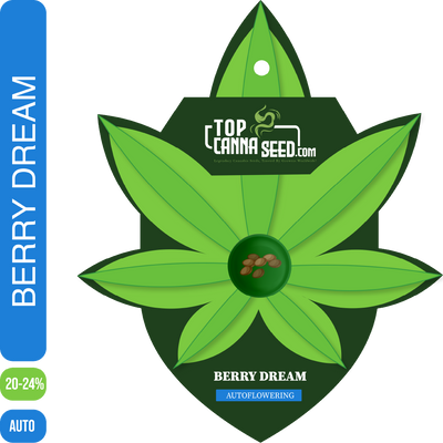 Berry Dream Auto