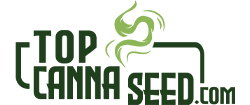 topcannaseed