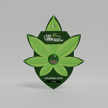 Wildfire Auto