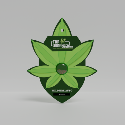 Wildfire Auto