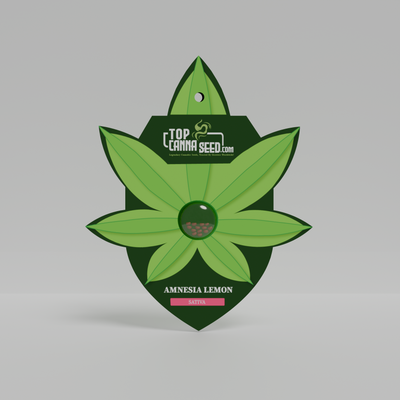 Amnesia Lemon