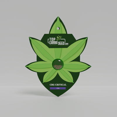 CBG Critical