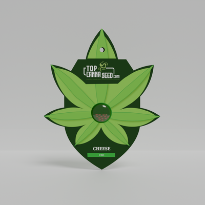 CBD Cheese