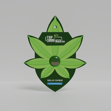 Relax Cookie Auto