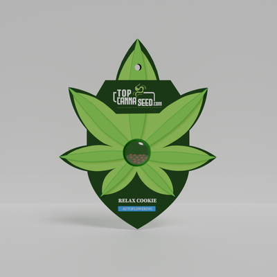 Relax Cookie Auto