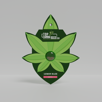 Lemon Haze
