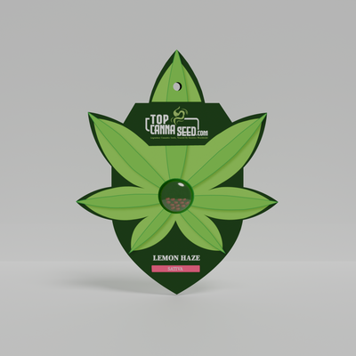 Lemon Haze