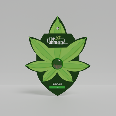 CBD Grape